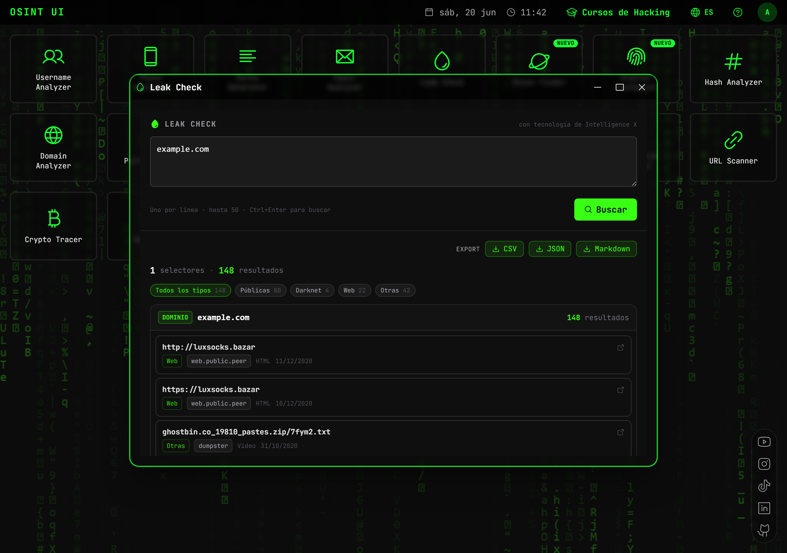 Leak Check — captura real de la herramienta con datos de demostración